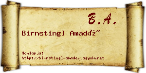Birnstingl Amadé névjegykártya